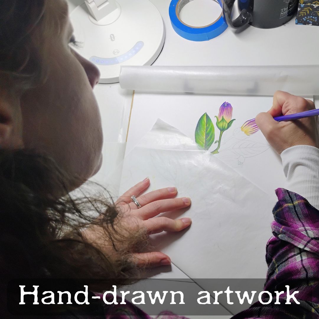 THE NATALIE HOLDEN LETTERS - OCRACOKE, NC(PREPAID)